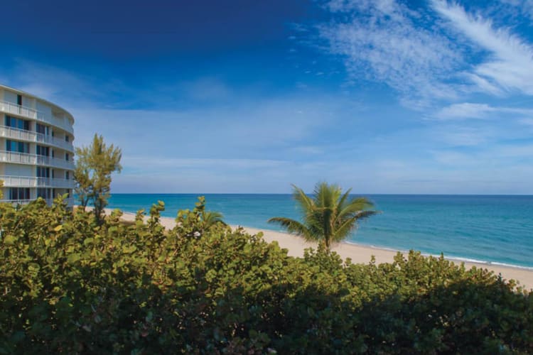 Ocean view